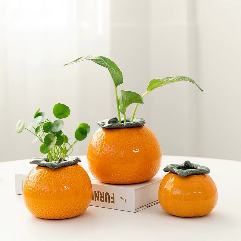 Orange Ceramic Planter: A Burst of Sunshine for Your Home