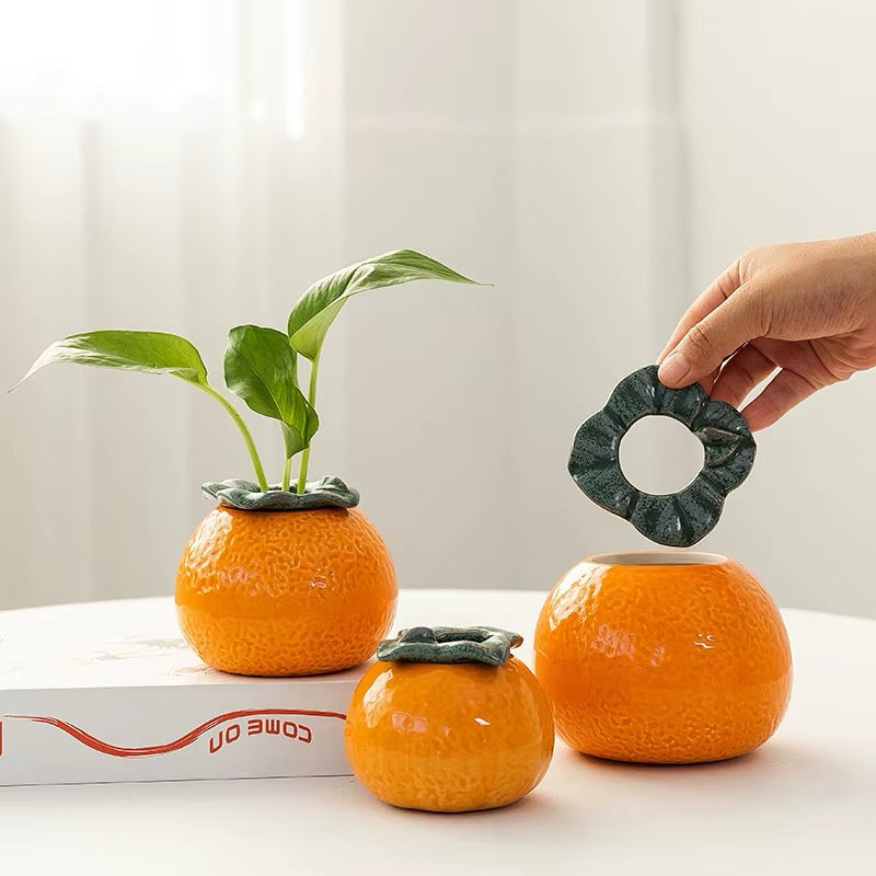 Orange Ceramic Planter: A Burst of Sunshine for Your Home